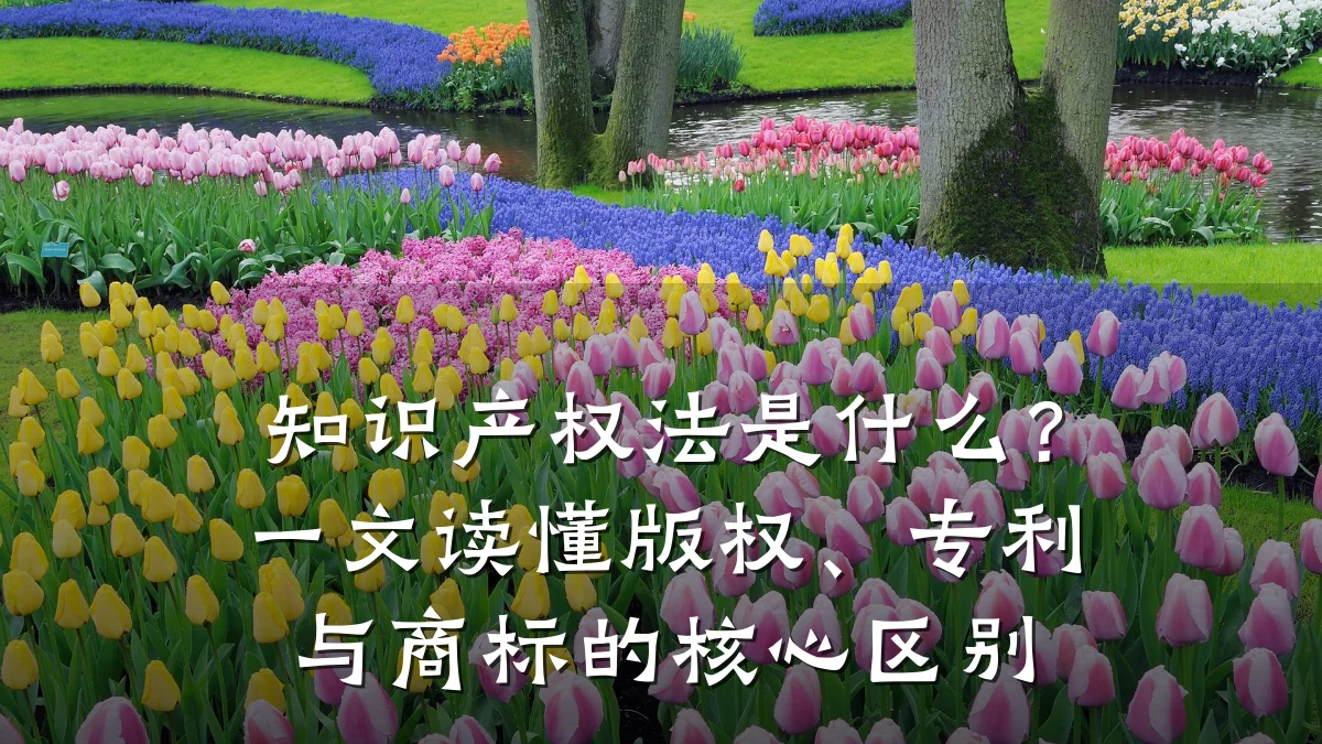 知识产权法是什么？一文读懂版权、专利与商标的核心区别