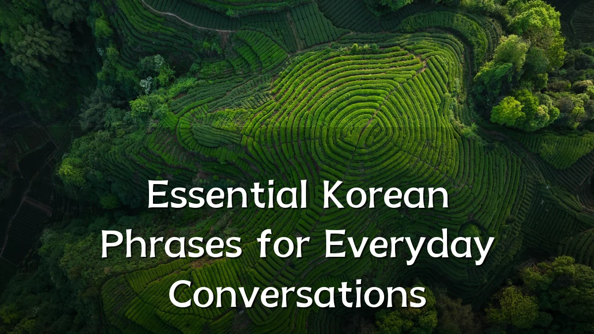 Essential Korean Phrases for Everyday Conversations