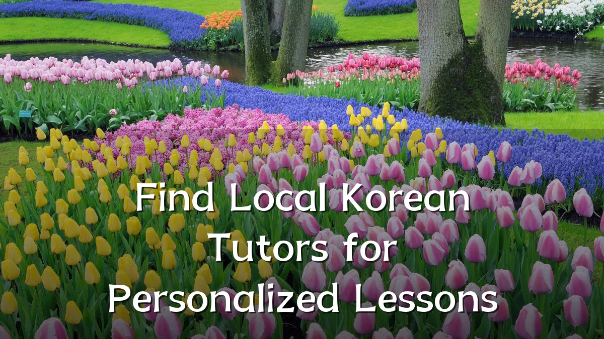 Find Local Korean Tutors for Personalized Lessons