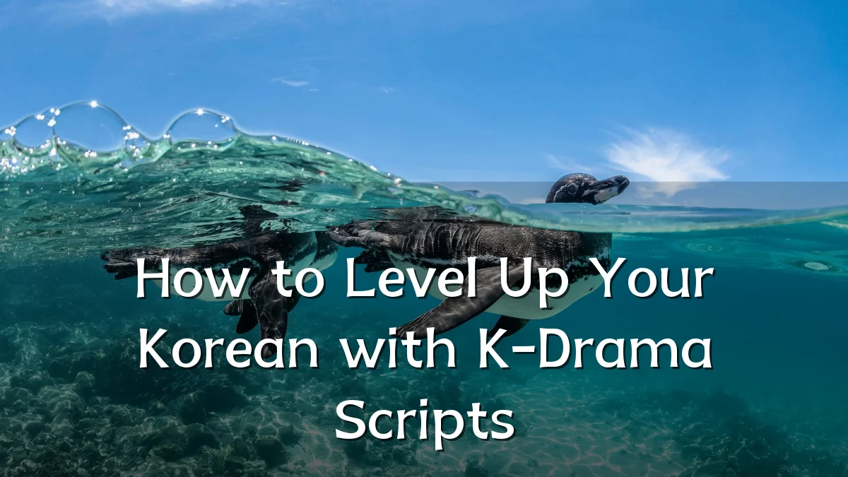 How to Level Up Your Korean with K-Drama Scripts