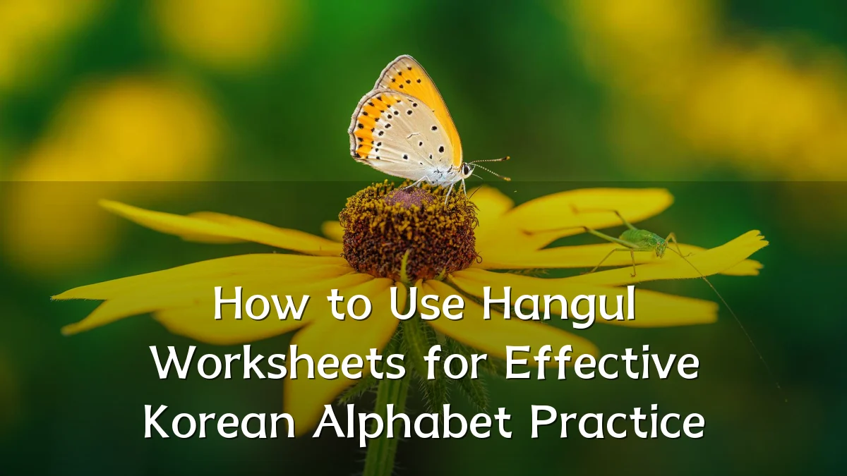 How to Use Hangul Worksheets for Effective Korean Alphabet Practice