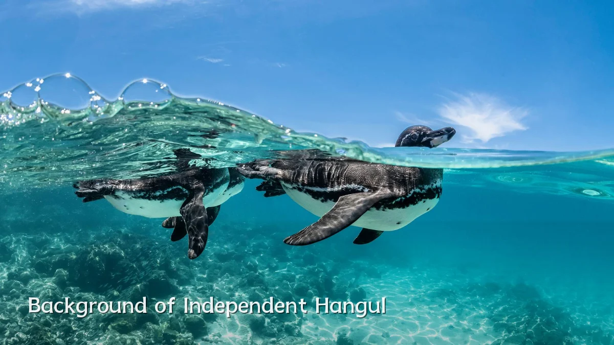Background of Independent Hangul