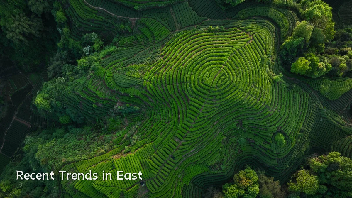 Recent Trends in East