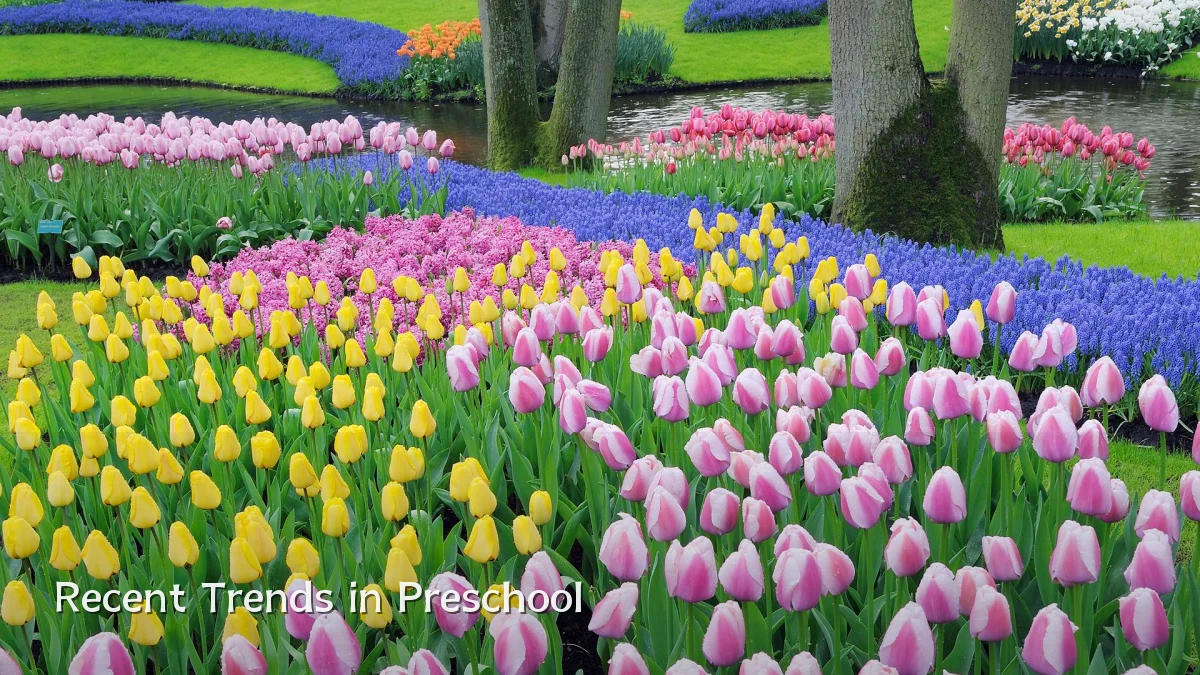 Recent Trends in Preschool