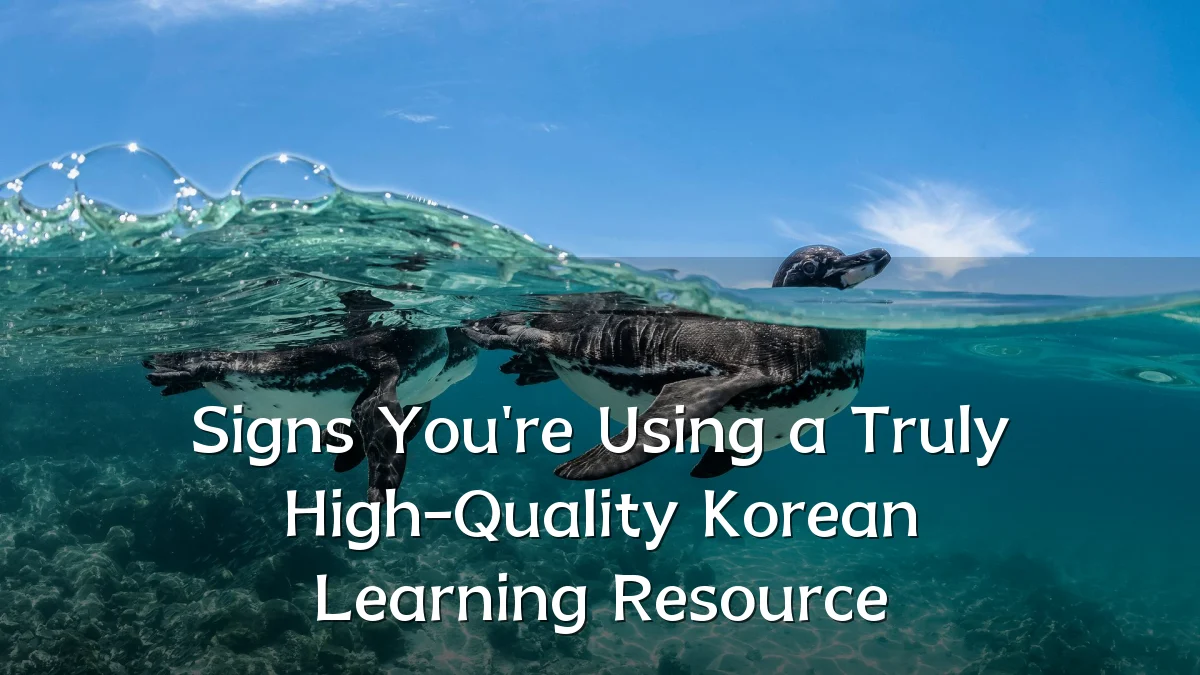 Signs You're Using a Truly High-Quality Korean Learning Resource