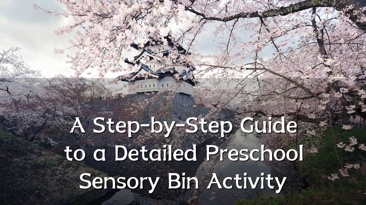 A Step-by-Step Guide to a Detailed Preschool Sensory Bin Activity