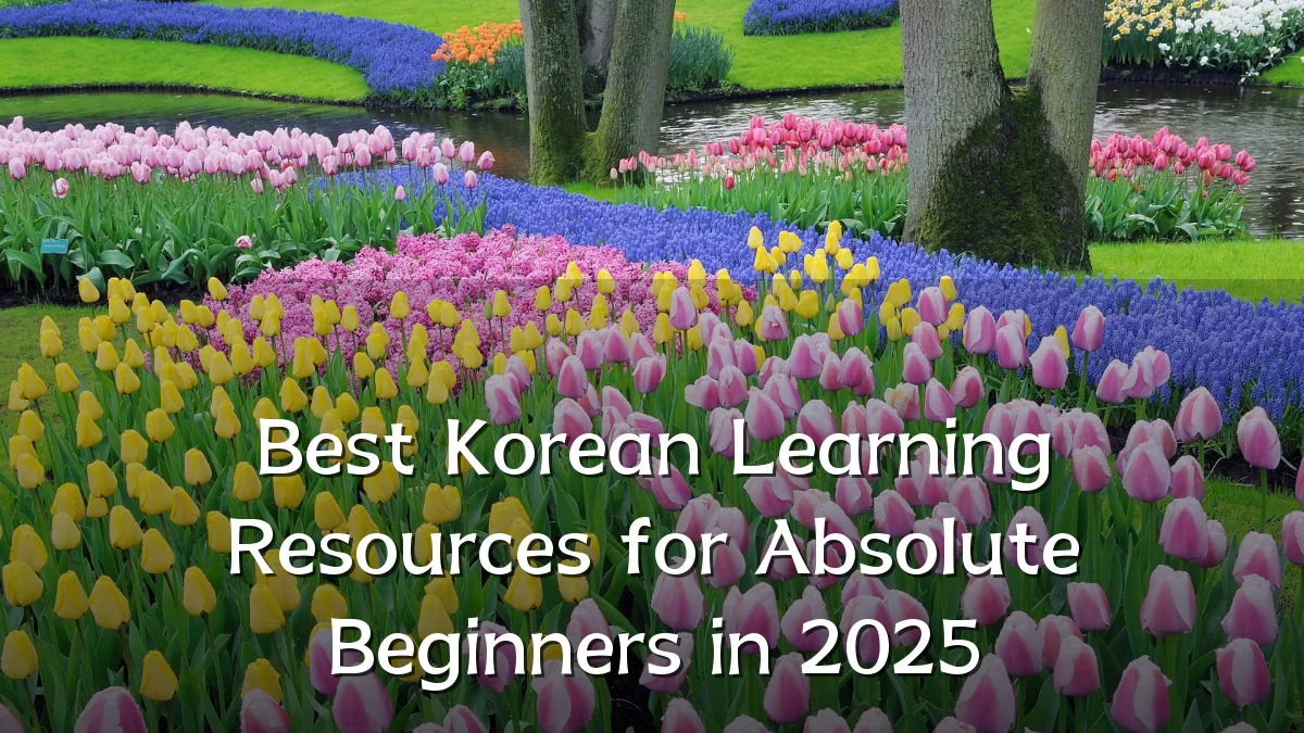 Best Korean Learning Resources for Absolute Beginners in 2025