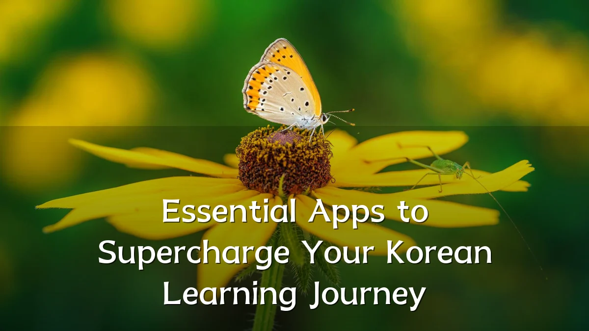 Essential Apps to Supercharge Your Korean Learning Journey