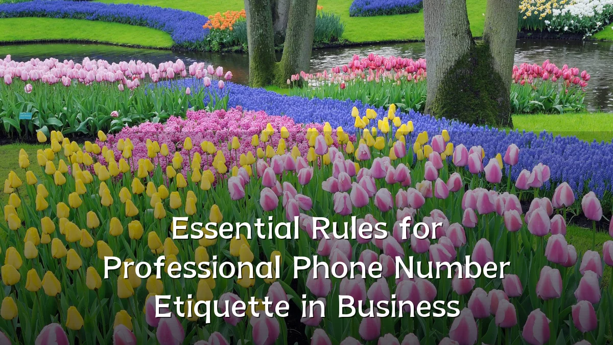 Essential Rules for Professional Phone Number Etiquette in Business