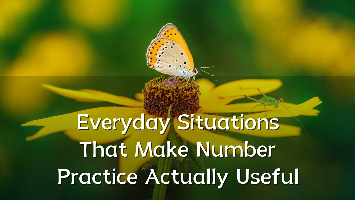 Everyday Situations That Make Number Practice Actually Useful