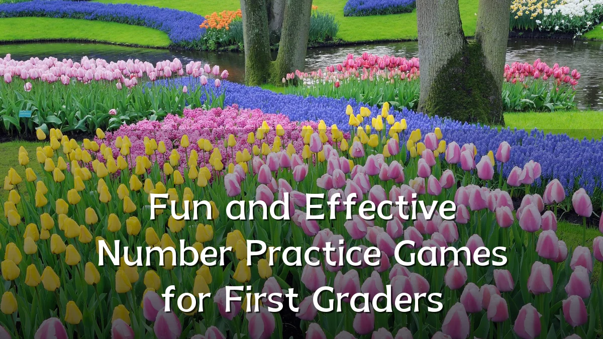 Fun and Effective Number Practice Games for First Graders