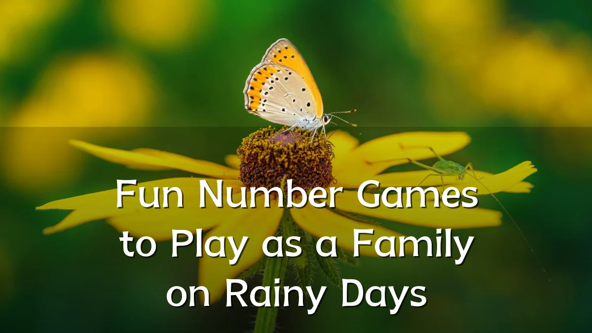 Fun Number Games to Play as a Family on Rainy Days