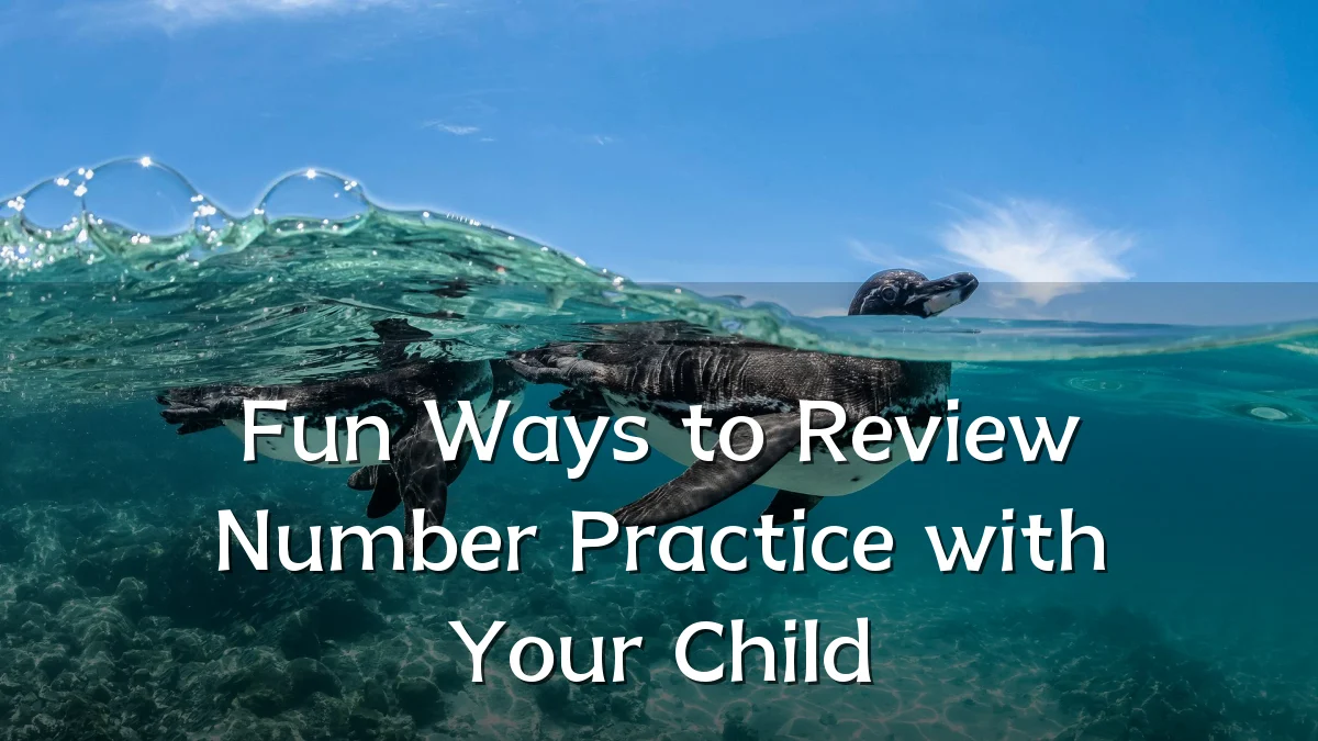 Fun Ways to Review Number Practice with Your Child