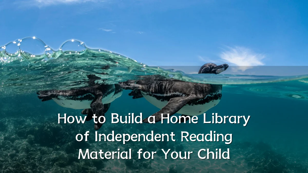 How to Build a Home Library of Independent Reading Material for Your Child