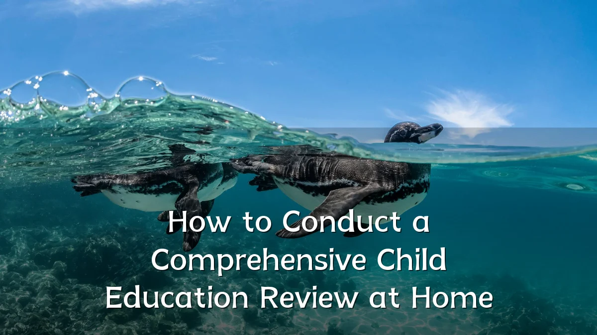 How to Conduct a Comprehensive Child Education Review at Home
