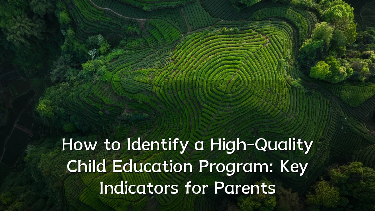 How to Identify a High-Quality Child Education Program: Key Indicators for Parents