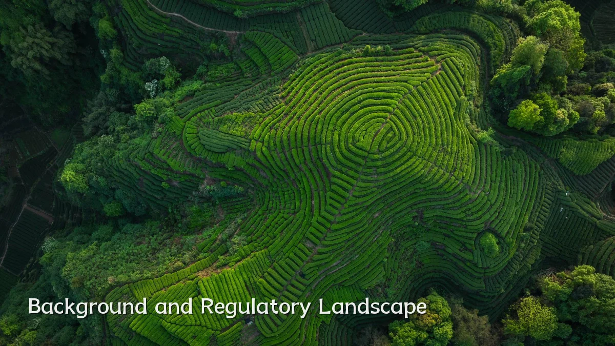Background and Regulatory Landscape