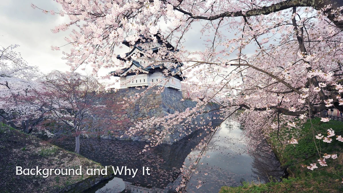 Background and Why It