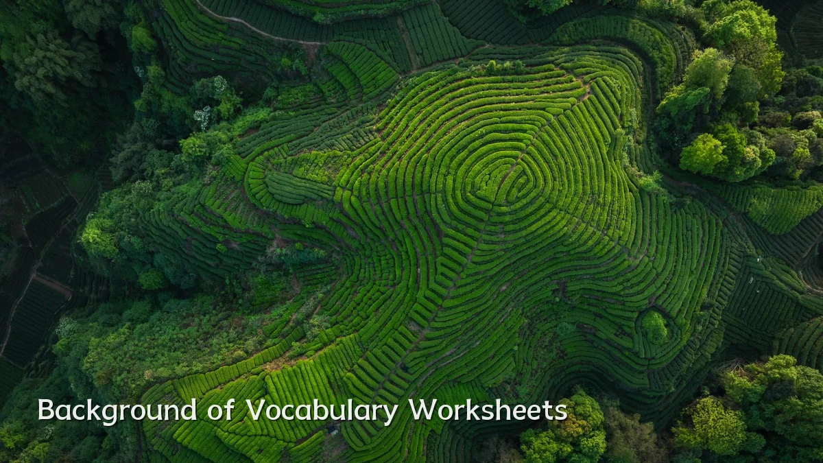 Background of Vocabulary Worksheets