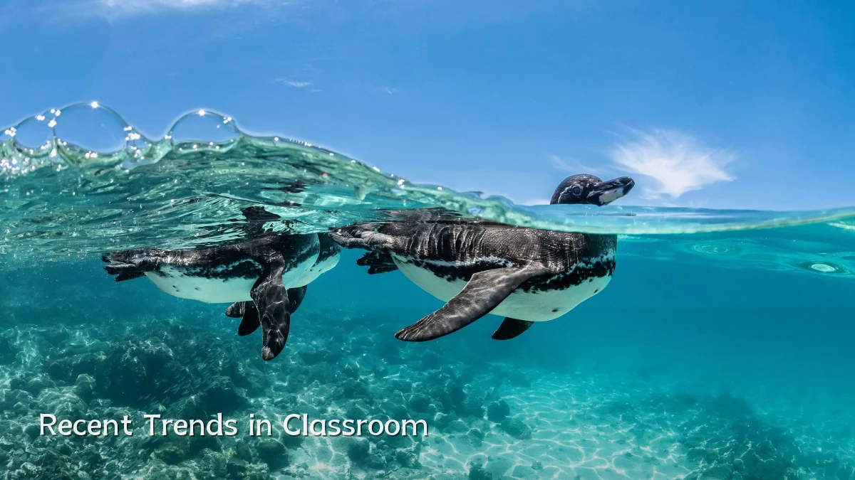 Recent Trends in Classroom