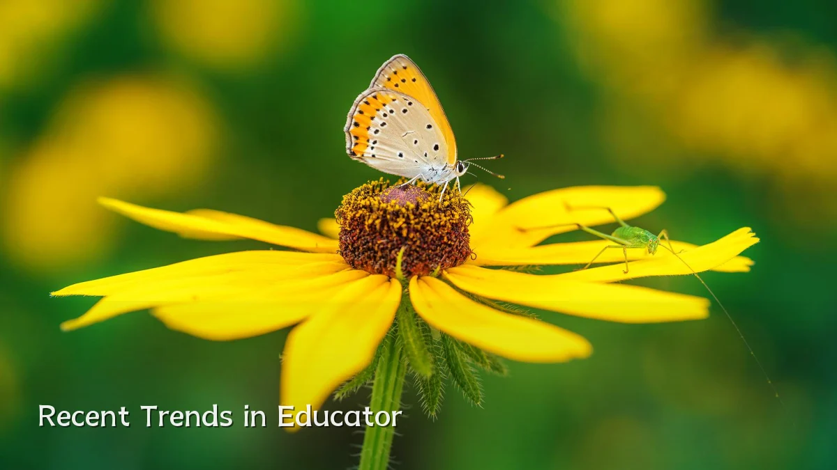 Recent Trends in Educator