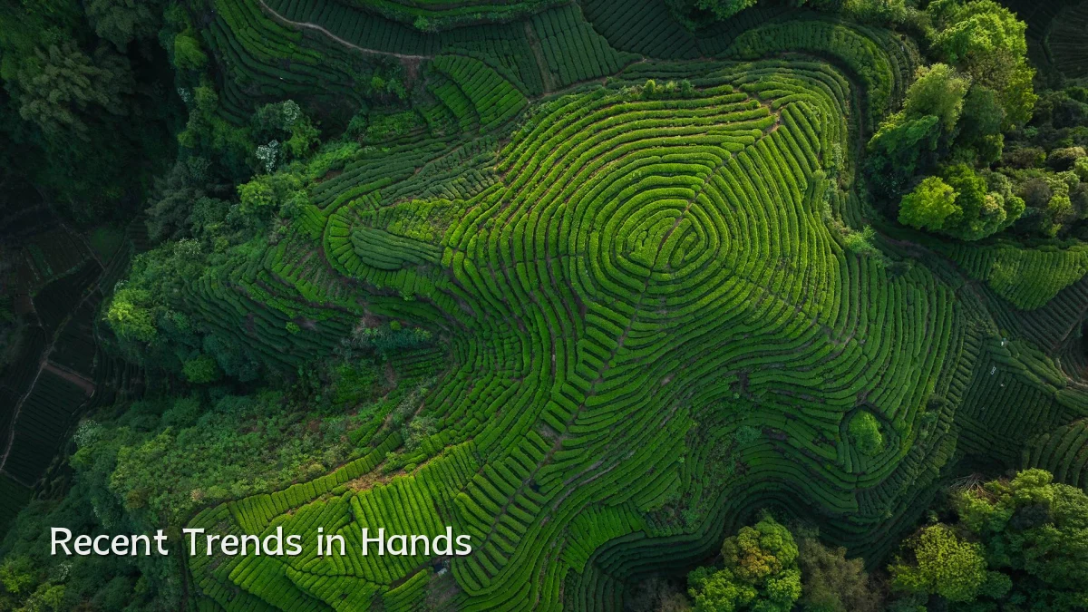 Recent Trends in Hands