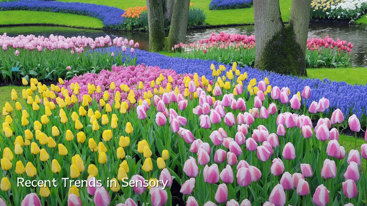 Recent Trends in Sensory