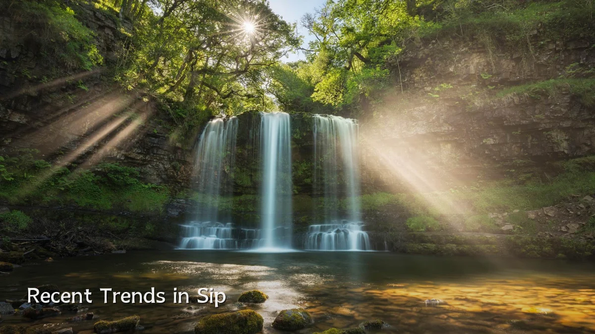 Recent Trends in Sip