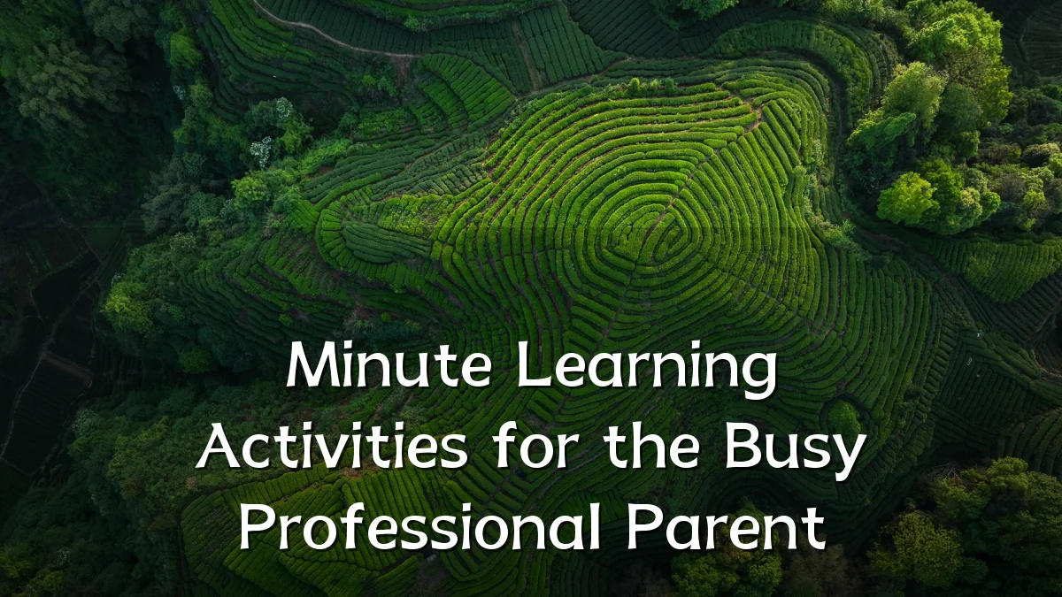 Minute Learning Activities for the Busy Professional Parent