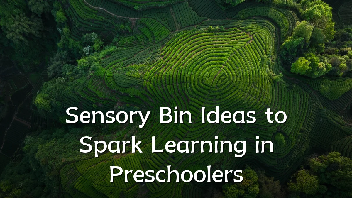 Sensory Bin Ideas to Spark Learning in Preschoolers