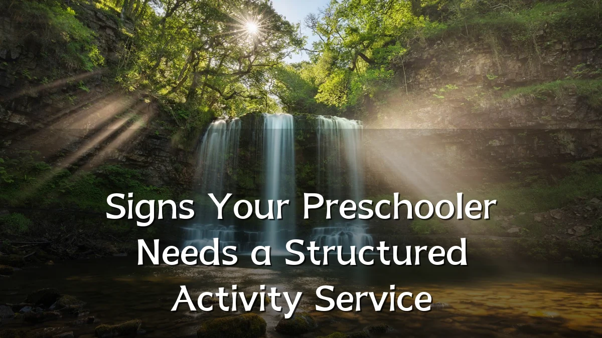 Signs Your Preschooler Needs a Structured Activity Service