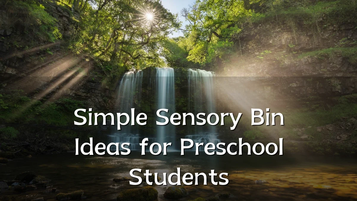Simple Sensory Bin Ideas for Preschool Students