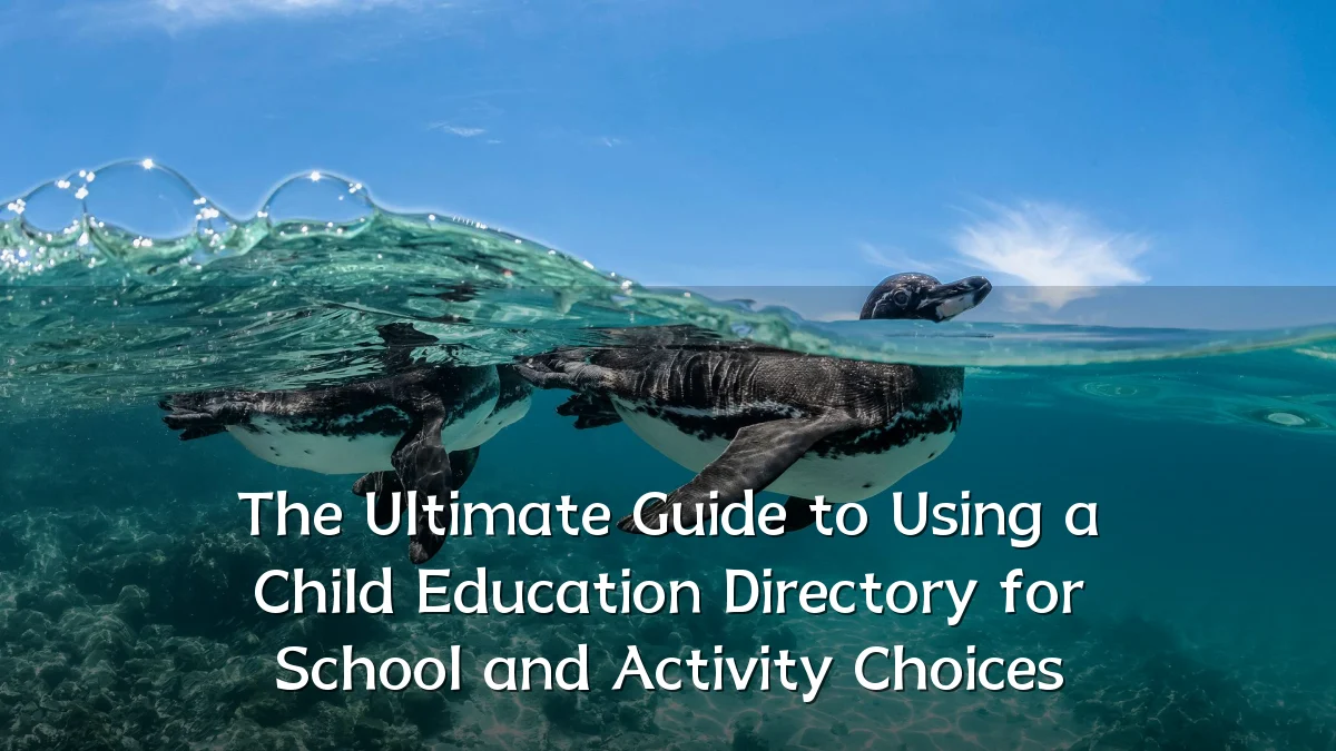 The Ultimate Guide to Using a Child Education Directory for School and Activity Choices