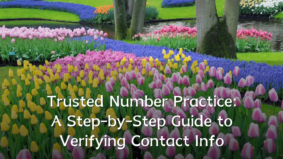 Trusted Number Practice: A Step-by-Step Guide to Verifying Contact Info