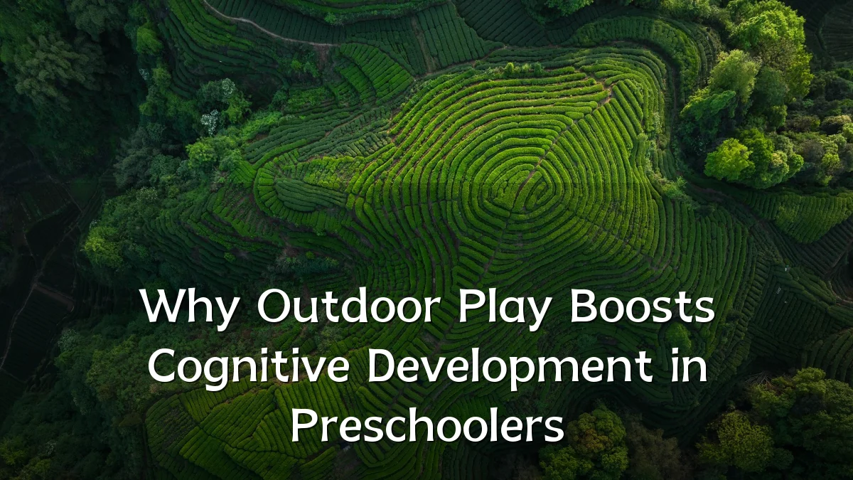 Why Outdoor Play Boosts Cognitive Development in Preschoolers