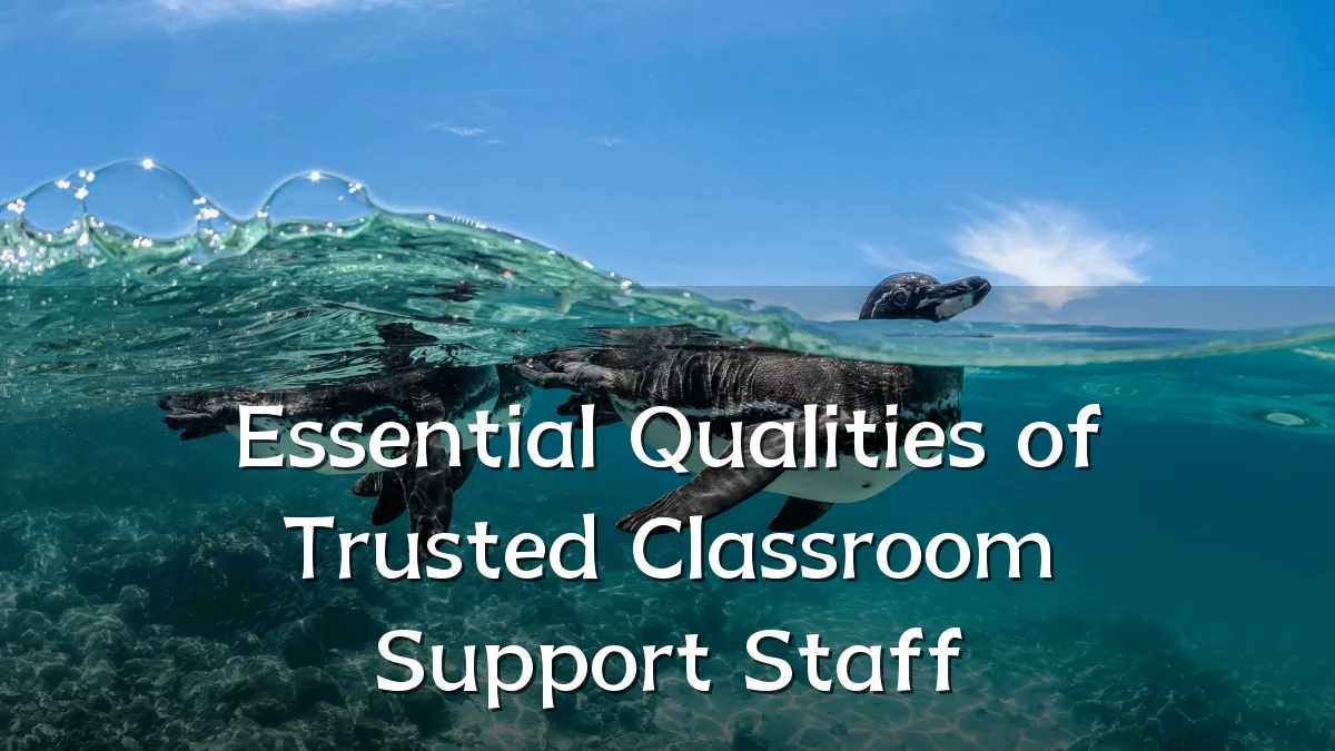 Essential Qualities of Trusted Classroom Support Staff