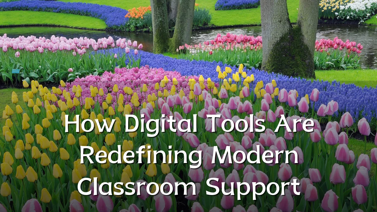 How Digital Tools Are Redefining Modern Classroom Support