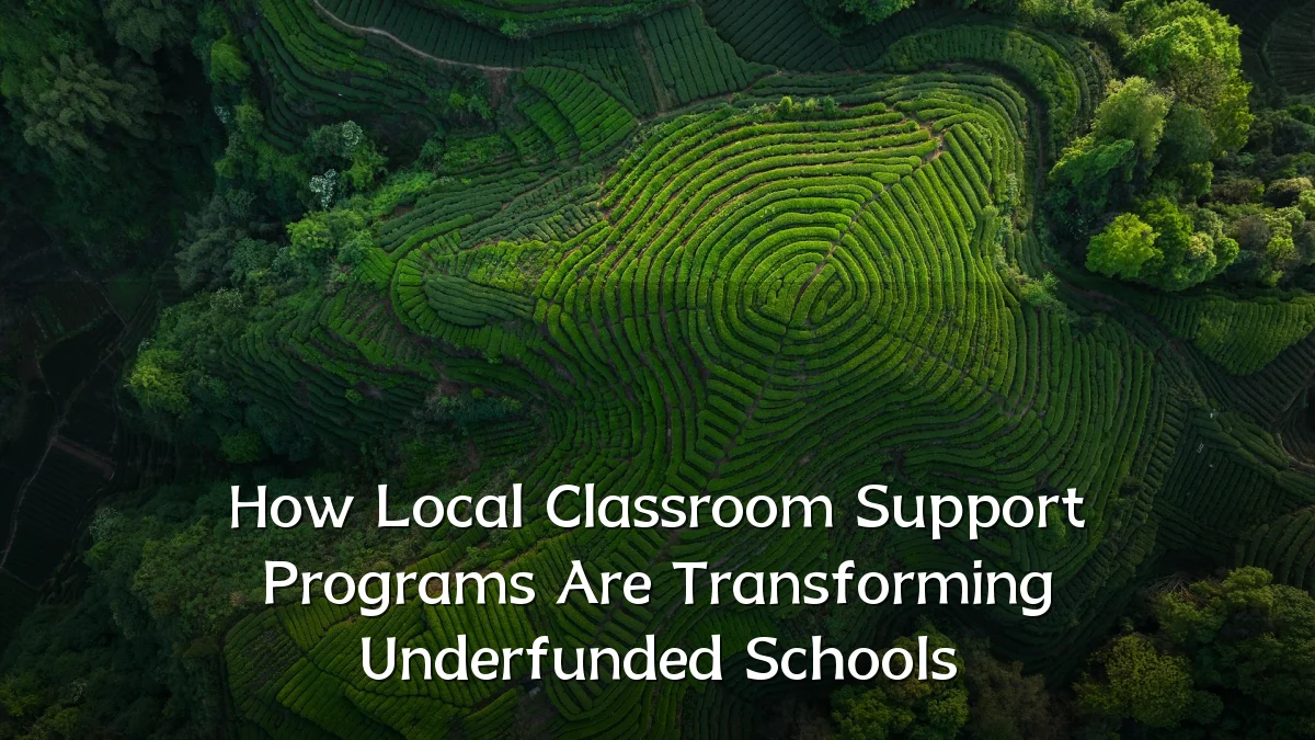 How Local Classroom Support Programs Are Transforming Underfunded Schools