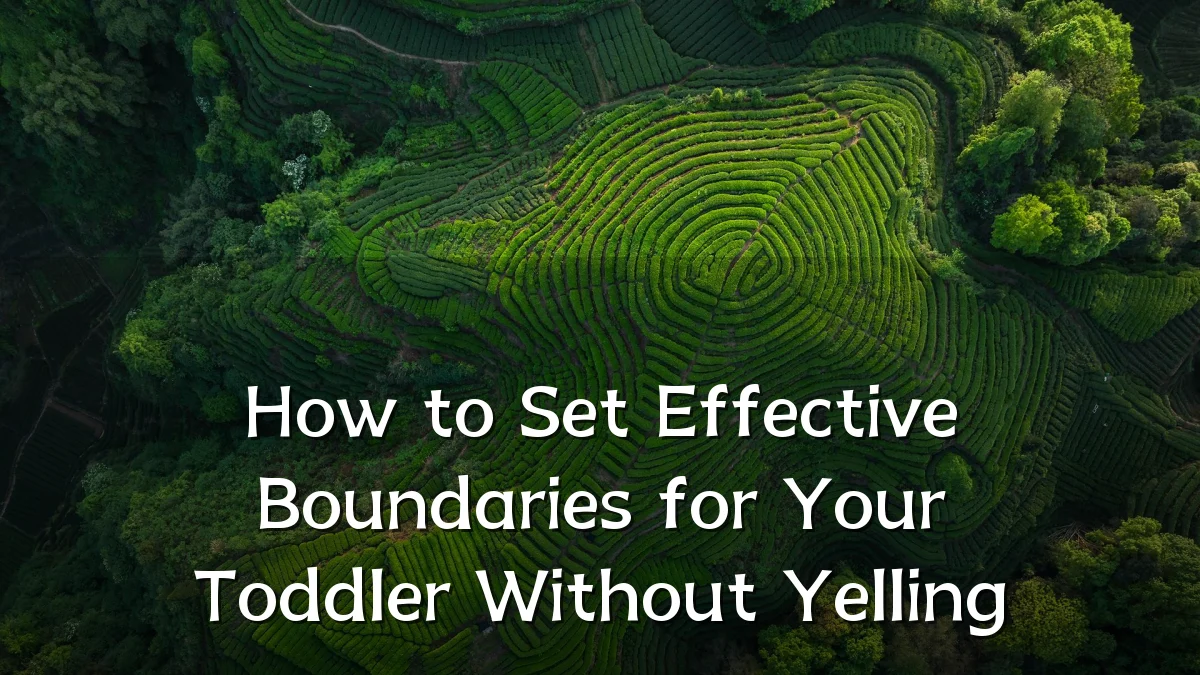 How to Set Effective Boundaries for Your Toddler Without Yelling
