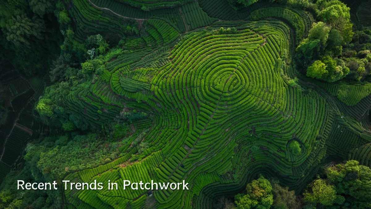 Recent Trends in Patchwork