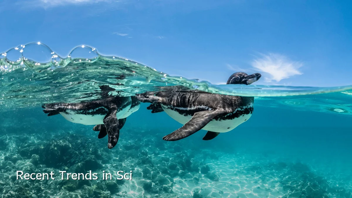 Recent Trends in Sci