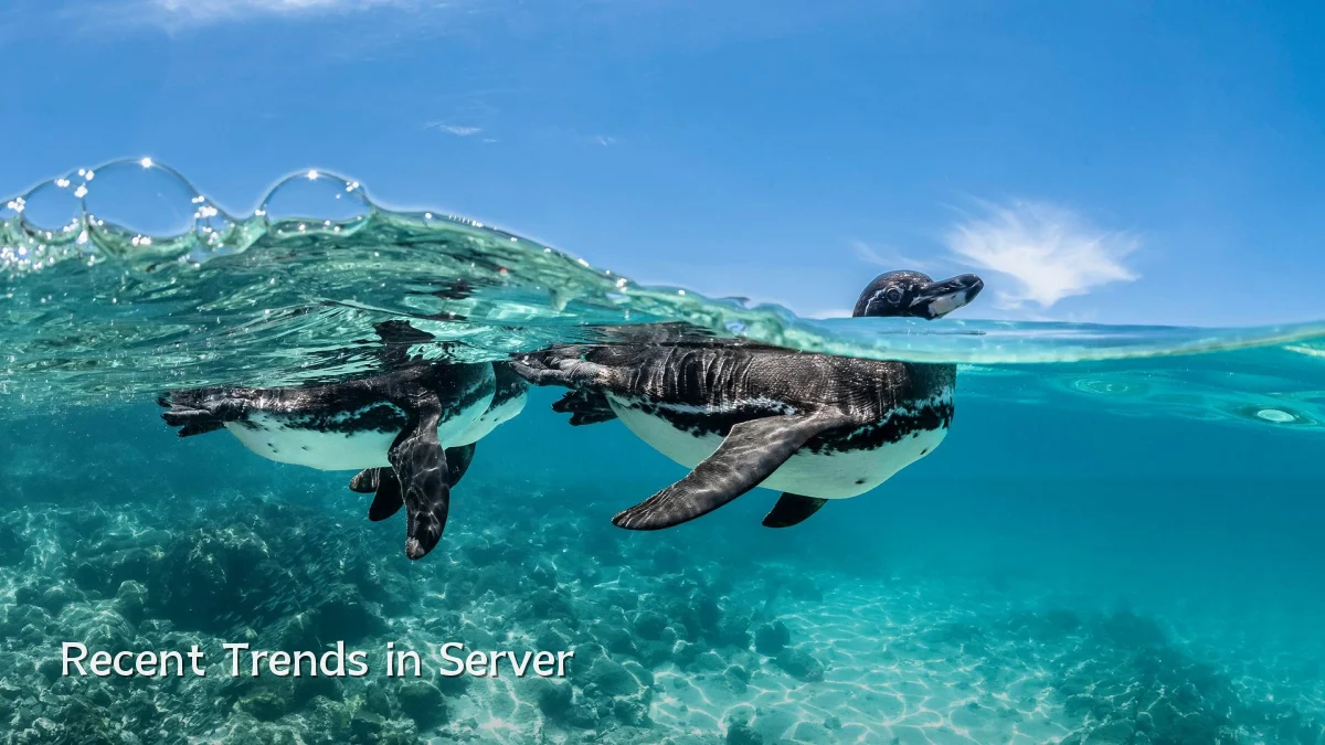 Recent Trends in Server