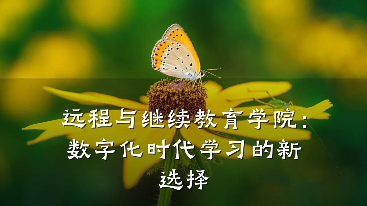 远程与继续教育学院:数字化时代学习的新选择